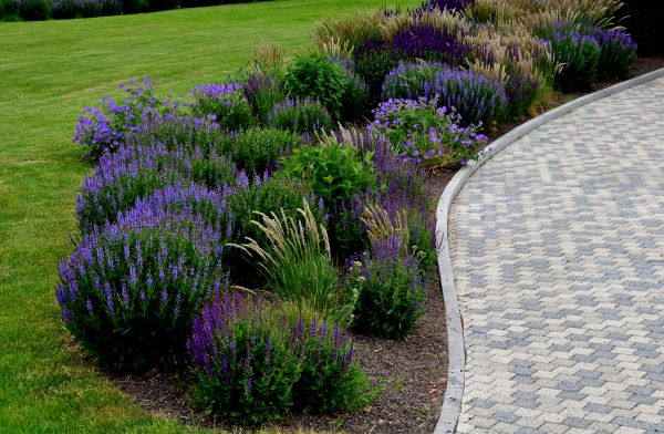Sidewalk Curb Installation in Orland Park