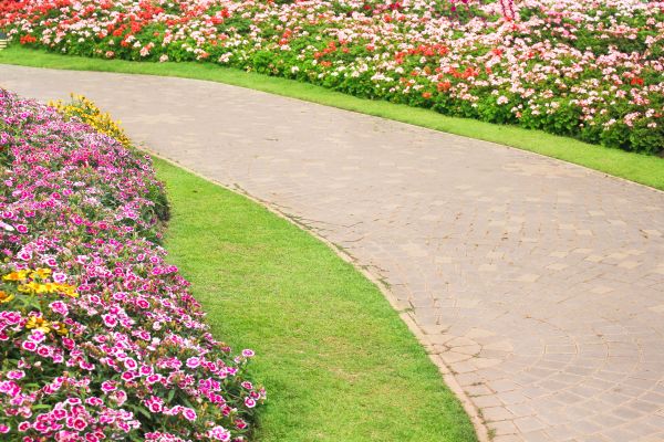 Concrete Walkway Service in Orland Park
